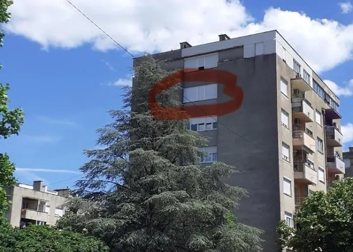 Apartman Sneza